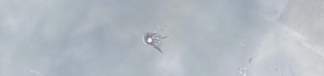 Steinschlagreparatur-Seitenvorschau